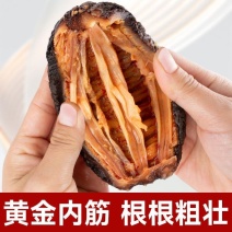 【精选】加拿大红极参海参工厂直发支持定制包装对接全国