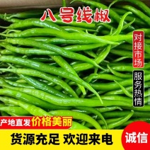 广东精品线椒，基地直发，新鲜采摘，品质保证，全国供应。