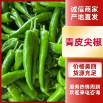 广东尖椒、羊角椒，一手货源，品质保证，全国供应