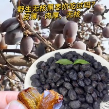 黑枣君迁子沂蒙山大山深处纯野生无核黑枣