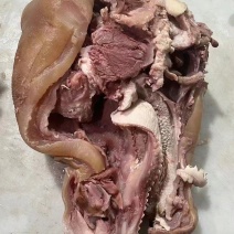 【熟牛脸肉】货源充足量大从优质量保证欢迎咨询