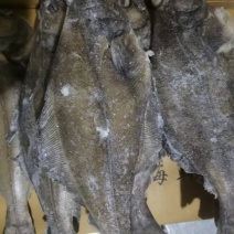 深海蝶鱼。也叫做鸦片鱼。