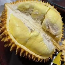 金枕榴莲榴莲产地直供软糯香甜品质保证价格优势