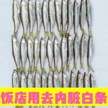 去内脏白条鱼大小都有质量稳定白条鱼翘嘴鱼不包邮需要算运费
