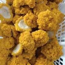 金耳菌鲜品，量多可优惠，欢迎咨询，有要求可以提。