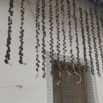 陕西柿饼干