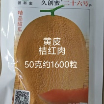 久创蜜二十六号哈蜜瓜种子黄皮哈蜜瓜种子大果抗病抗裂口感好