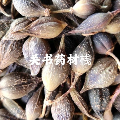 连翘价格行情_今日连翘价格多少钱一斤 _ 一亩田