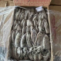 墨鱼纯干水300/400