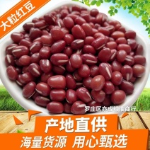 东北大粒红豆批发山西红小豆颗粒饱满量大从优