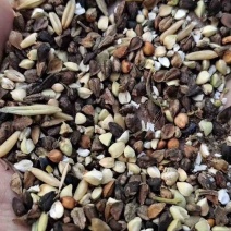 河北厂家直销小杂粮草籽下脚料养殖用主料通用
