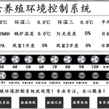 云智慧iot蛋鸡肉鸡养殖御剑江山版风机锅炉灯光小窗变频控制系