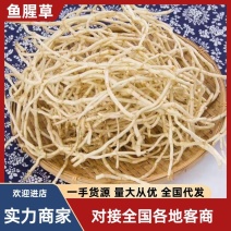 鱼腥草节节根折耳根湖北鱼腥草产地直发支持全国发