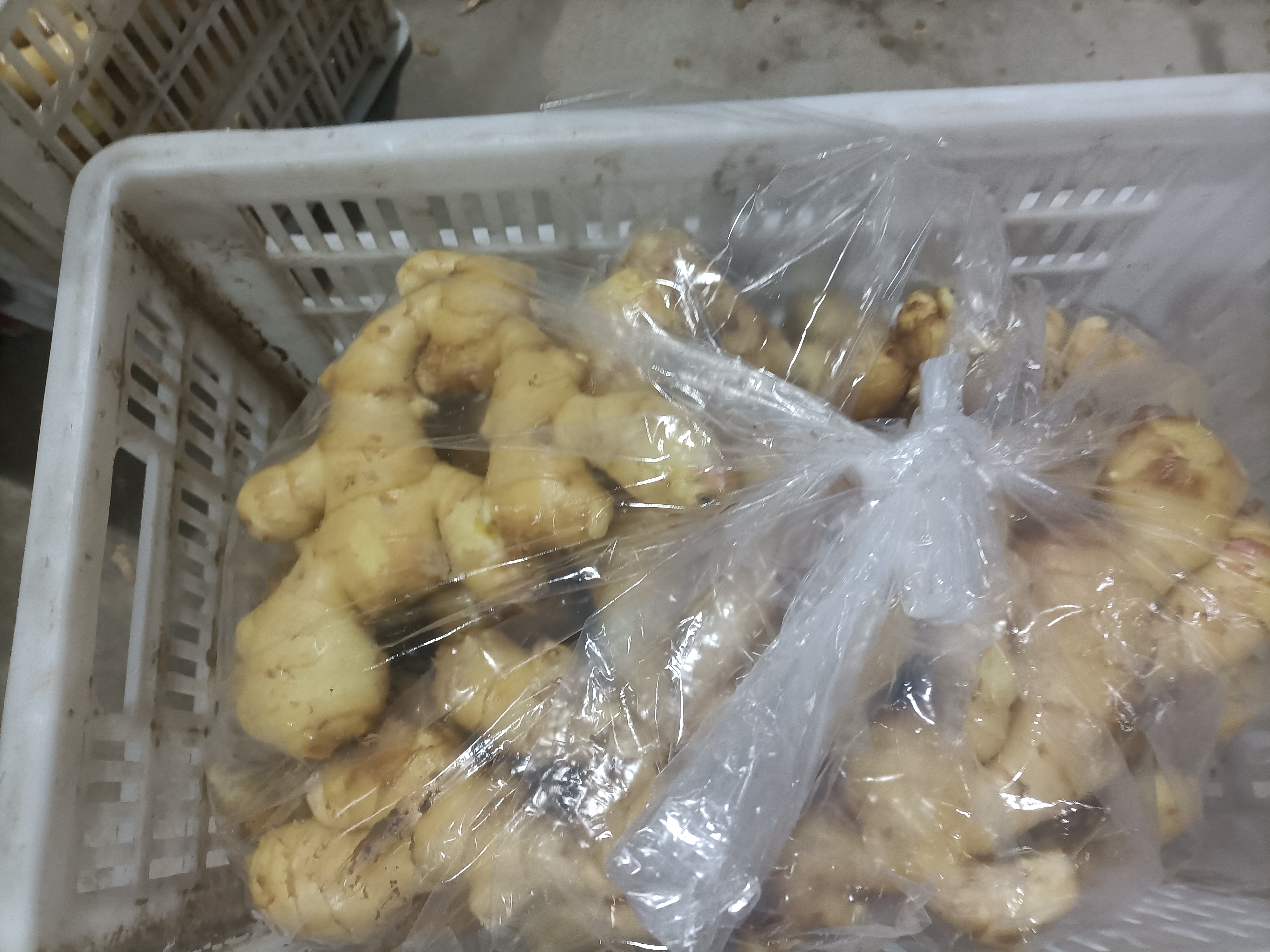 现代化的农产品加工车间内,工人们正在传送带旁对大黄姜进行人工分拣和称重包装,桌上摆放着不同规格的塑料筐,墙上贴有‘净菜标准’‘无公害认证’等标识,环境整洁明亮 遵义大黄姜分级包装车间内景