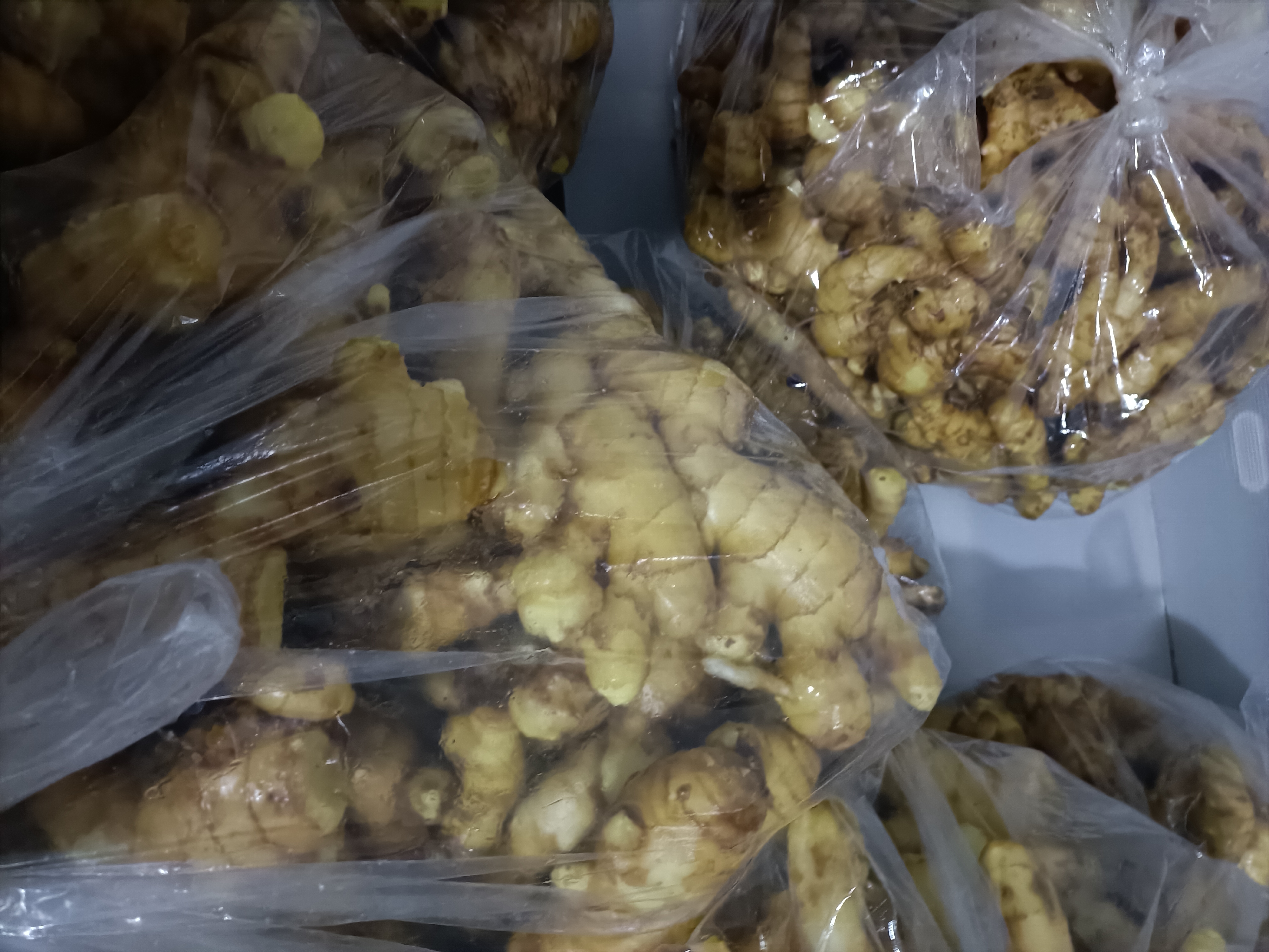 大黄姜的储存方式示意图