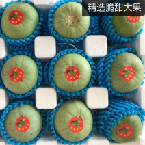 精品绿宝甜瓜产地一手货源质量保证价格不高