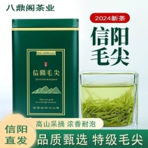 2024新茶正宗信阳毛尖茶叶明前嫩芽手工绿茶浓香盒装毛尖