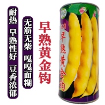 香蕉黄金钩种子架油豆东北早熟油豆种籽搭架面糊好吃豆角鼓豆