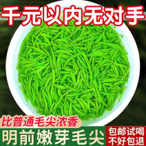 【特级毛尖I斤】2024新茶信阳正宗毛尖嫩芽绿茶浓香型茶