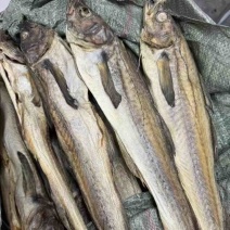 柴鱼干财鱼干煲汤煲粥好配料有量批发零售