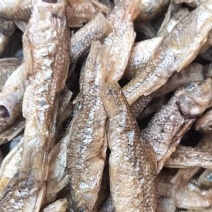 开肚烤小鱼干麦穗鱼干山东微山特产品质好价格低