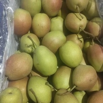 精品红香酥，清脆可口，产地直发货源充足，欢迎选购