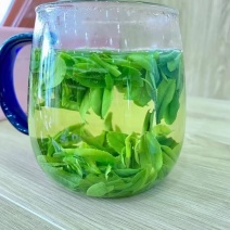 六安瓜片绿茶