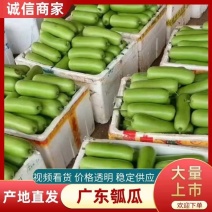 [牛]广东瓠瓜一手货源，全国供应，诚信经营，欢迎合作