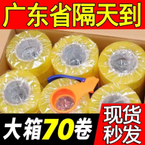 【正在发货中】整箱透明胶带整箱透明胶带宽胶带大卷加宽加厚
