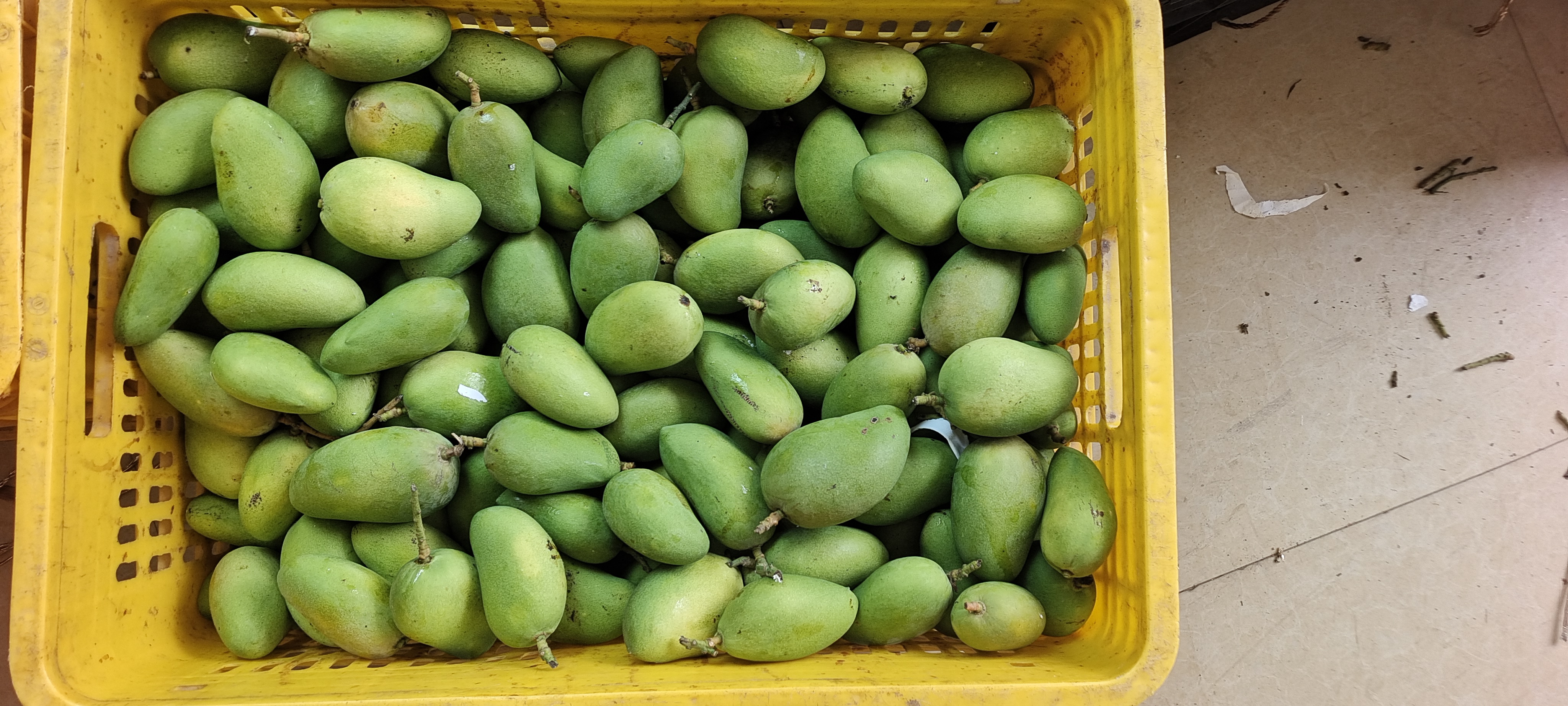 青色的小台芒特写