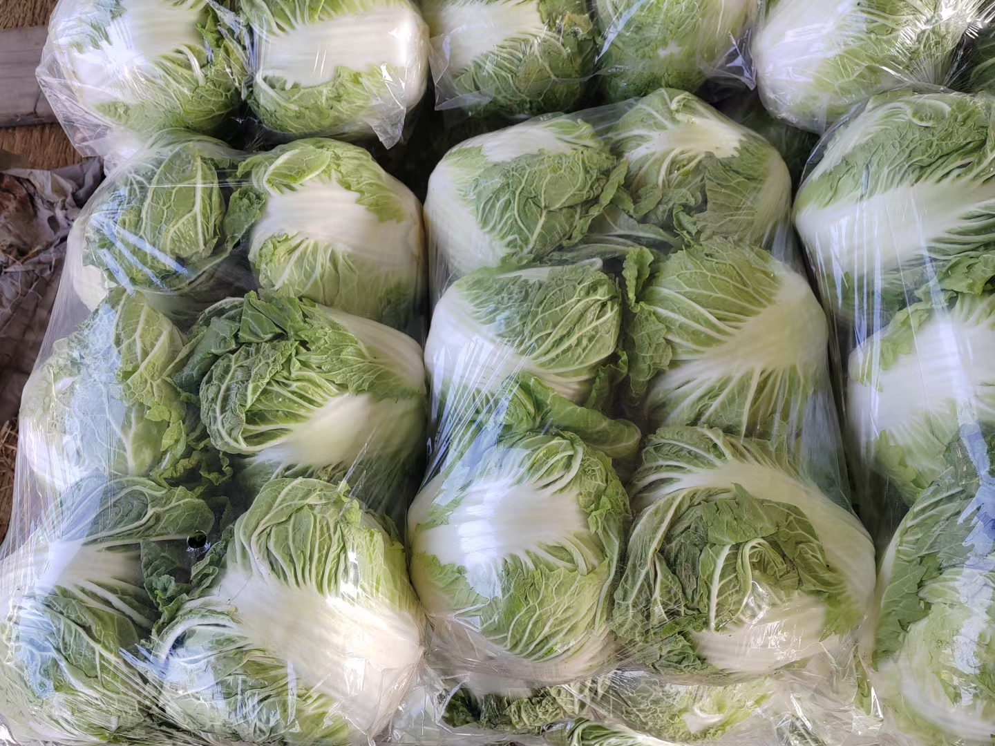秦白2号白菜的市场销售场景