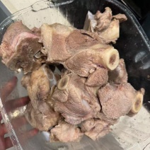 小头棒骨