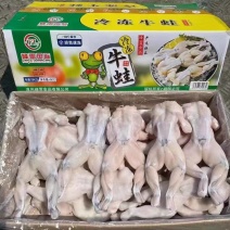 液氮峰雷牛蛙，量大从优！大号、中号、小号