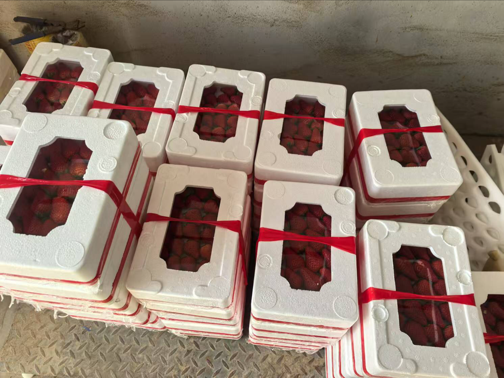 冷冻奶油草莓包装展示