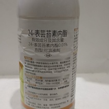 24-表芸苔素内酯可溶性液剂抗病增产保花保果