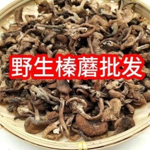 东北野生榛蘑批发特级榛蘑菇小鸡炖蘑菇长白山发货【只卖真榛
