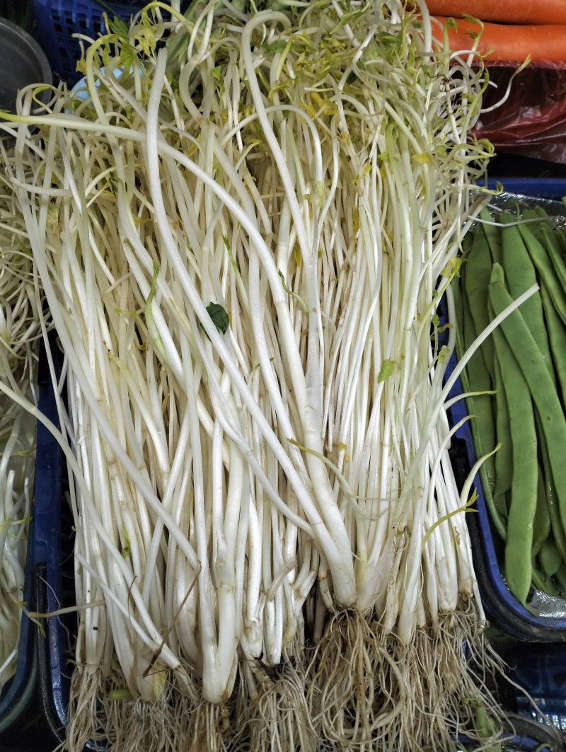 江苏常州溧阳市芹菜 18.00元/斤溧阳白芹