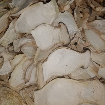 杏鲍菇中片，箱装，产地:福建古田县食用菌批发市场，。。。