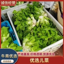 儿菜