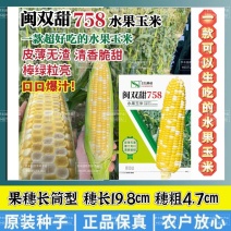 闽双甜758超甜水果玉米种子双色水果玉米种子生吃脆甜无渣