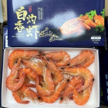 熟虾，国产香虾产地直发一手货源量大从优规格齐全。