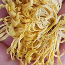 金丝皇菊花