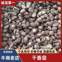 香菇干货金钱菇光面菇，黑面香菇干货珍珠菇，特价批发干香菇