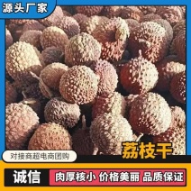 福建桂味荔枝干糯米糍荔枝干无核荔枝干酸甜可口