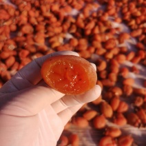 糖心柿饼上市！！！！红饼霜饼都有货～质优价廉，物超所值…