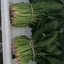 菠菜