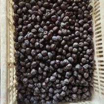 太行山无核黑枣