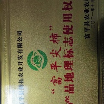 富平柿饼，场地设备齐全，诚招来货入住加工