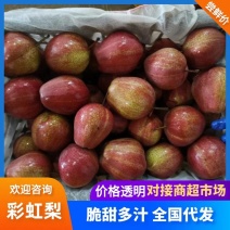 莱西彩虹梨七月底大量上市品质保障口感超好一手货源🤗🤗