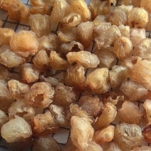 桂圆肉龙眼肉去核干桂圆白桂元肉批发各种中药材一手货源